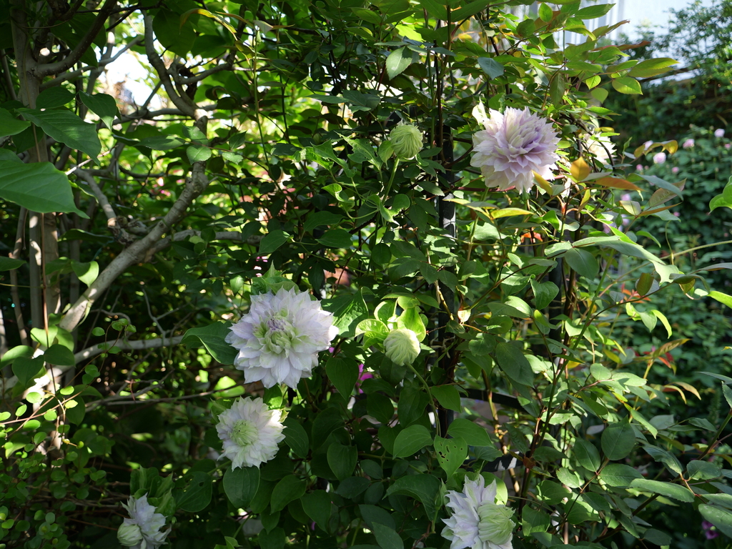2025-04-27 07_30№(0277).JPG