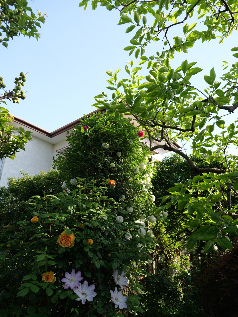 2025-04-27 07_30№(0289).JPG