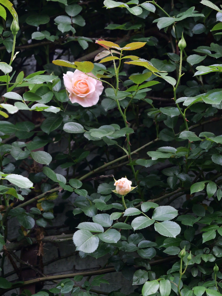 2025-04-28 10_49№(0045).JPG