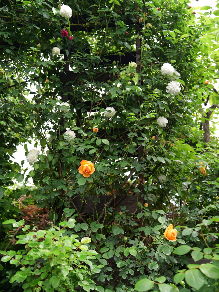 2025-04-28 11_29№(0312).JPG