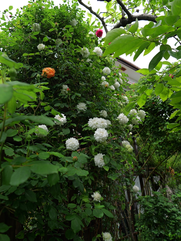 2025-04-28 11_29№(0313).JPG