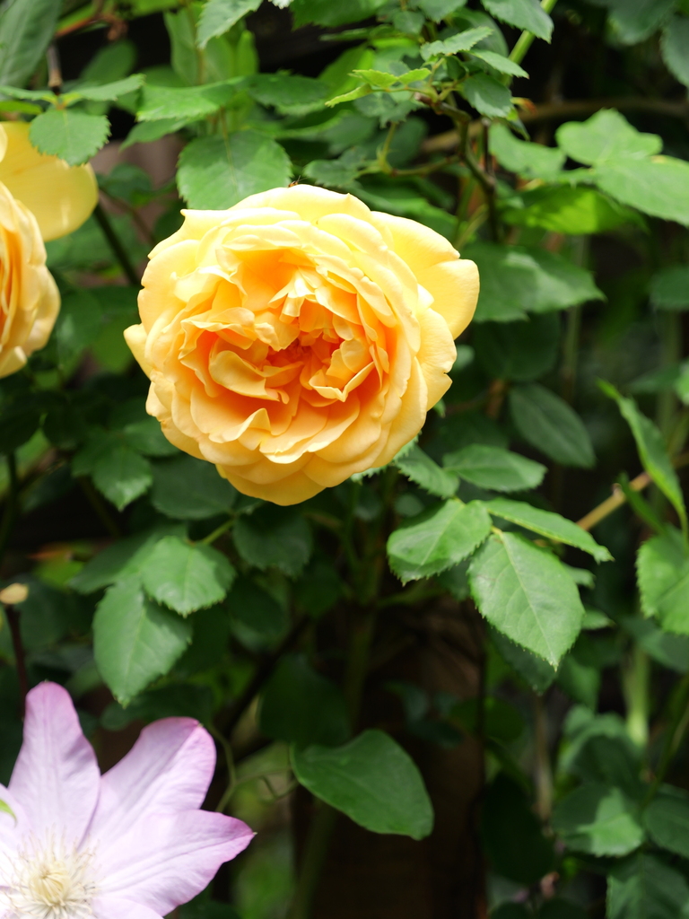 2025-04-28 11_30№(0347).JPG