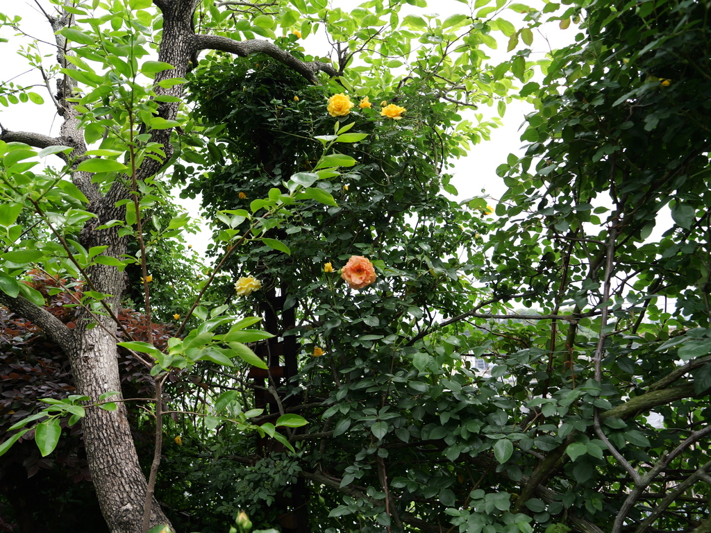 2025-04-28 11_30№(0360).JPG