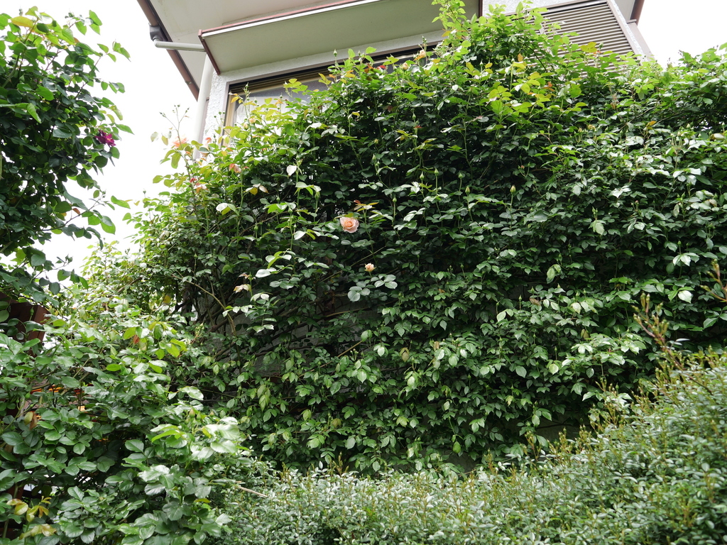 2025-04-28 11_31№(0373).JPG