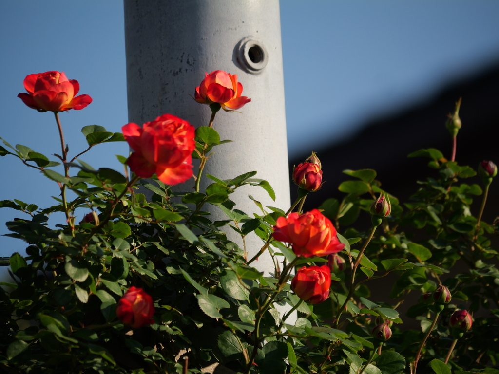 2025-04-30 06_57№(0081).JPG
