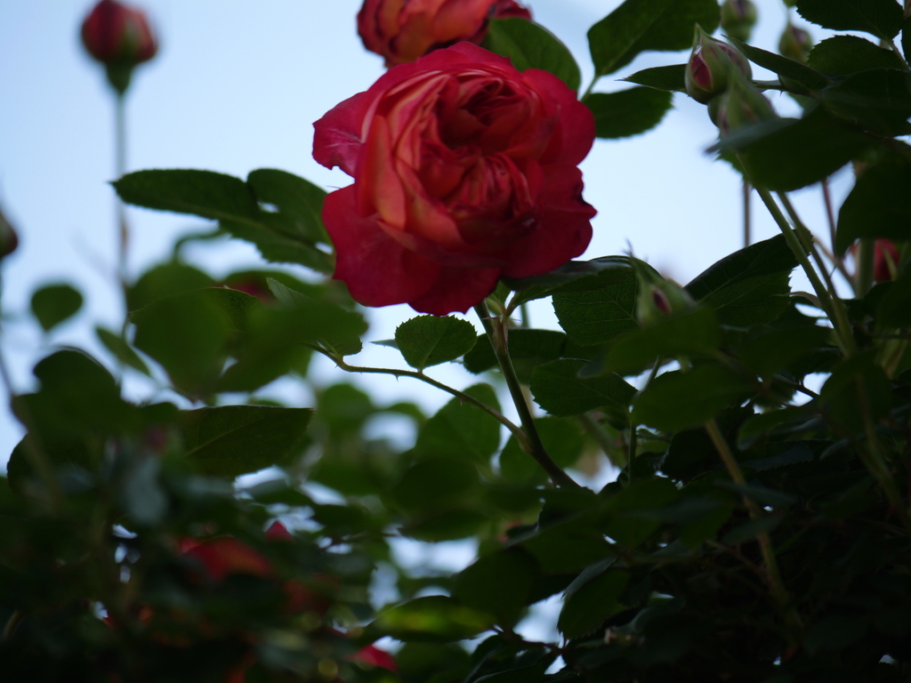 2025-04-30 06_59№(0088).JPG