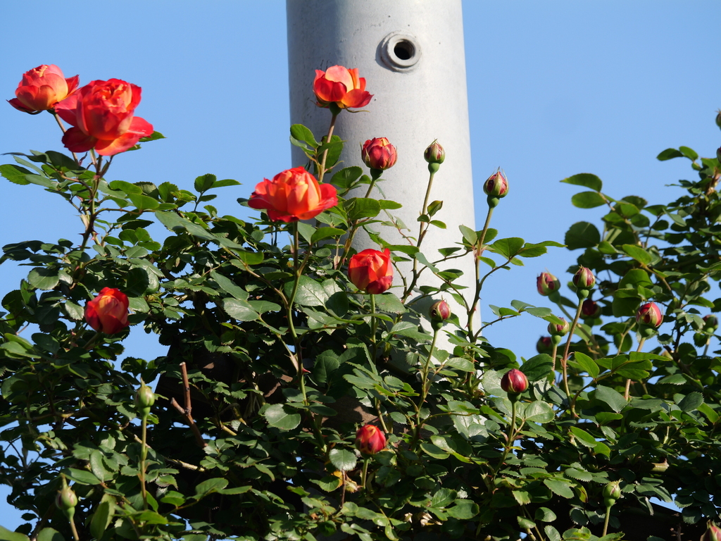 2025-04-30 06_59№(0090).JPG