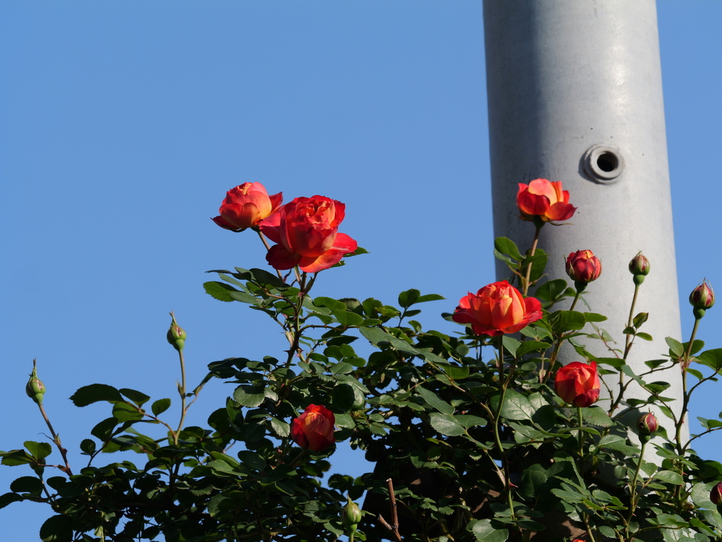 2025-04-30 07_00№(0092).JPG