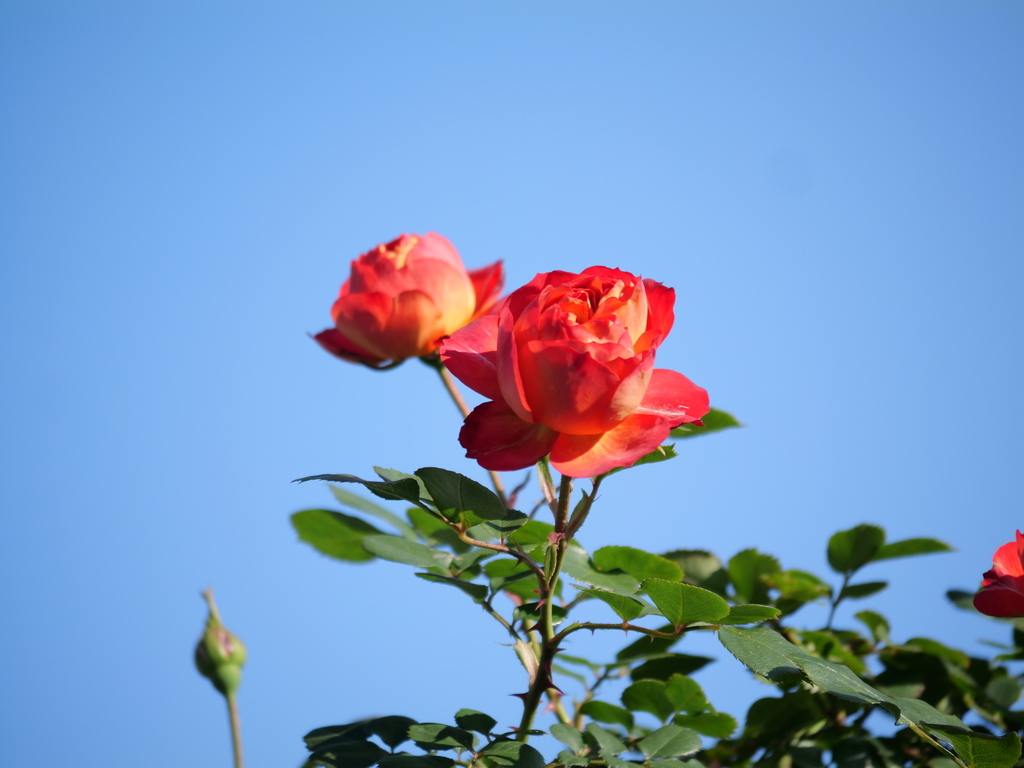 2025-04-30 07_00№(0093).JPG