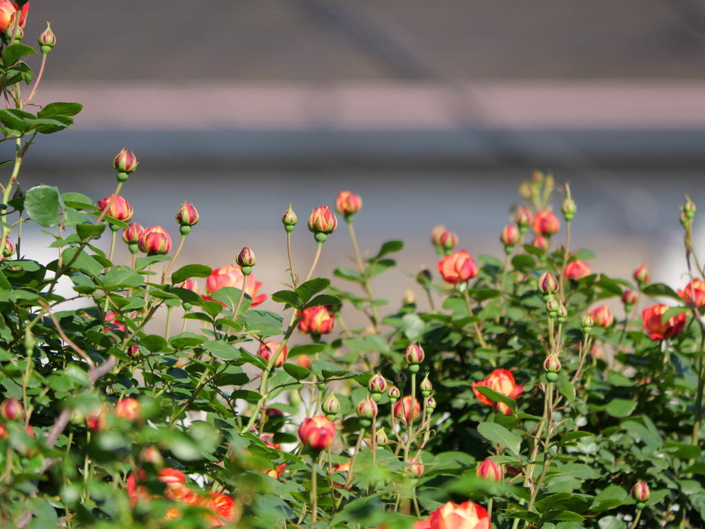 2025-04-30 07_52№(0244).JPG