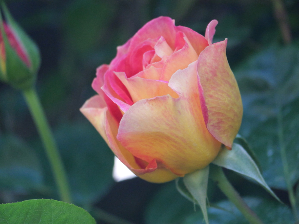 2025-04-30 07_54№(0284).JPG