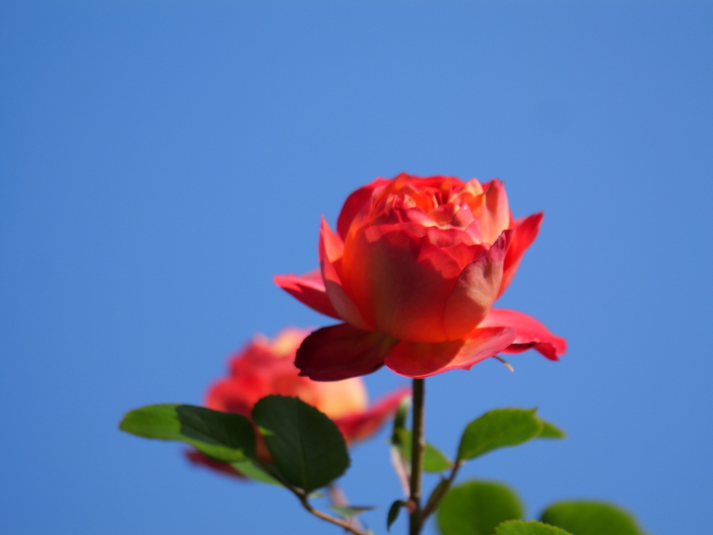 2025-04-30 07_55№(0290).JPG
