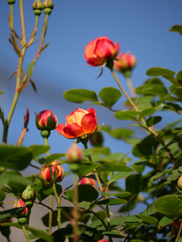 2025-04-30 08_07№(0333).JPG