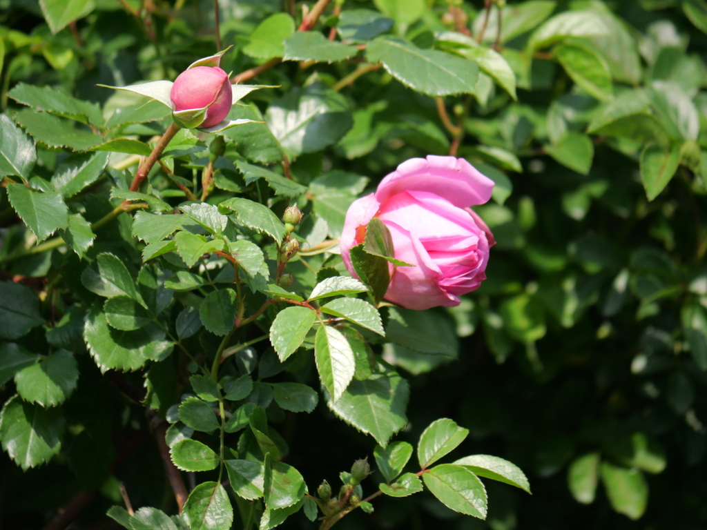 2025-05-01 07_20№(0011).JPG