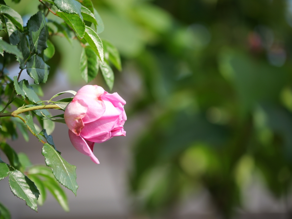 2025-05-01 07_26№(0055).JPG