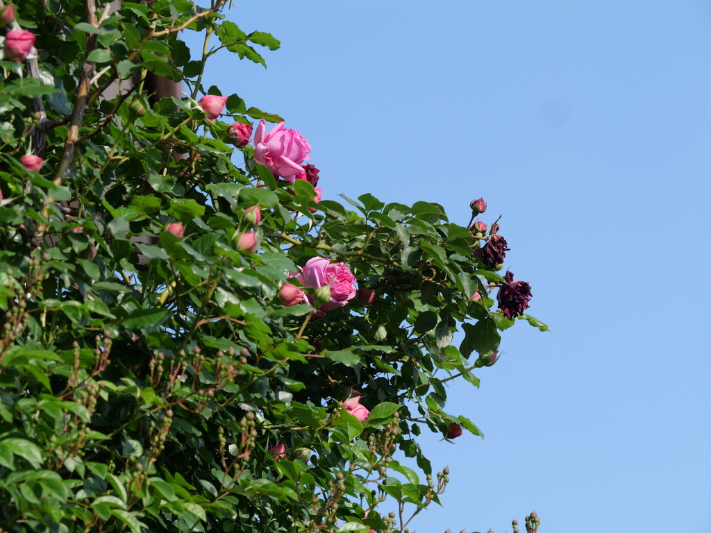 2025-05-01 07_26№(0059).JPG