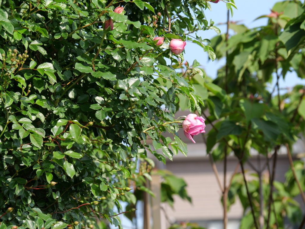 2025-05-01 07_27№(0062).JPG