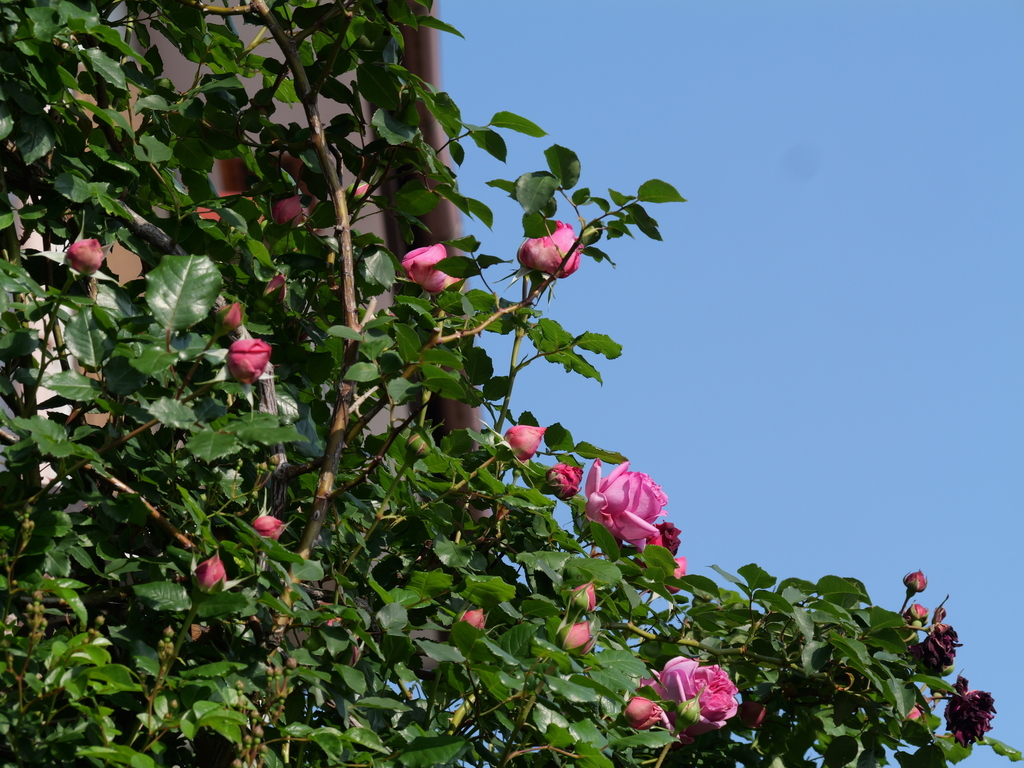 2025-05-01 07_27№(0063).JPG