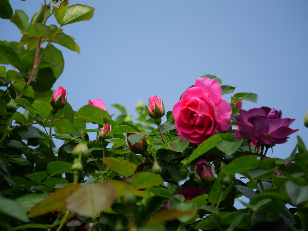 2025-05-01 08_32№(0402).JPG