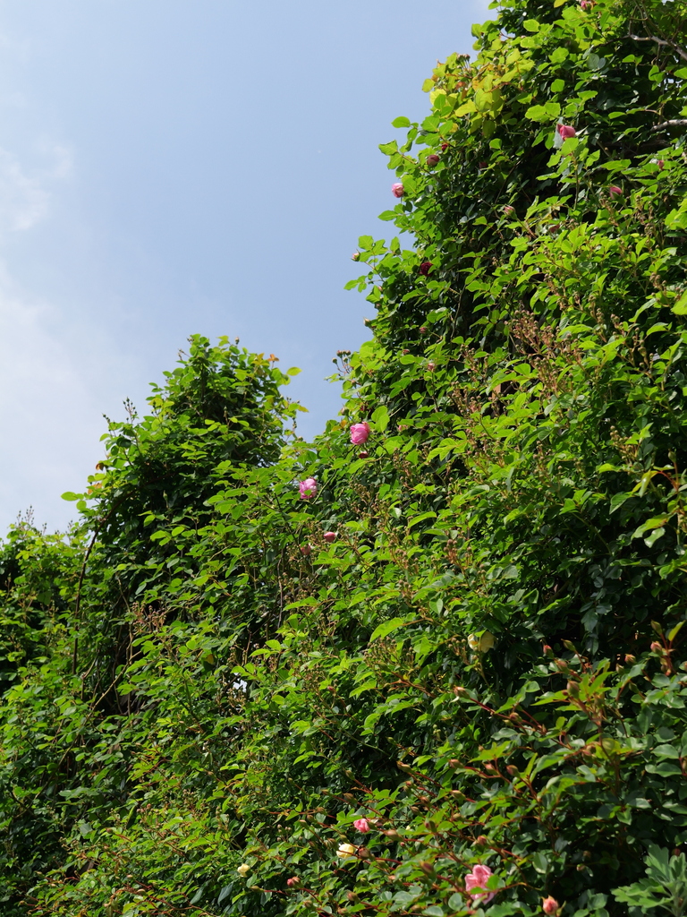 2025-05-01 09_21№(0571).JPG