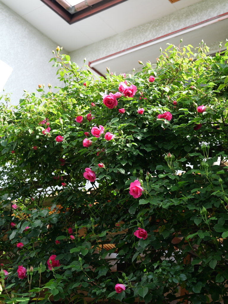 2025-05-01 09_22№(0609).JPG