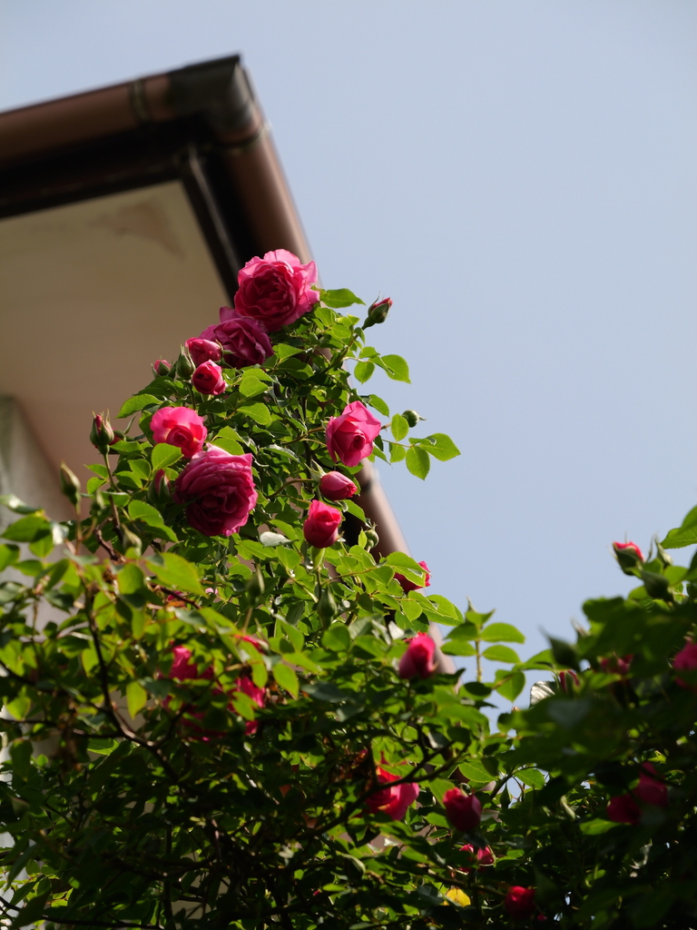 2025-05-01 09_23№(0611).JPG
