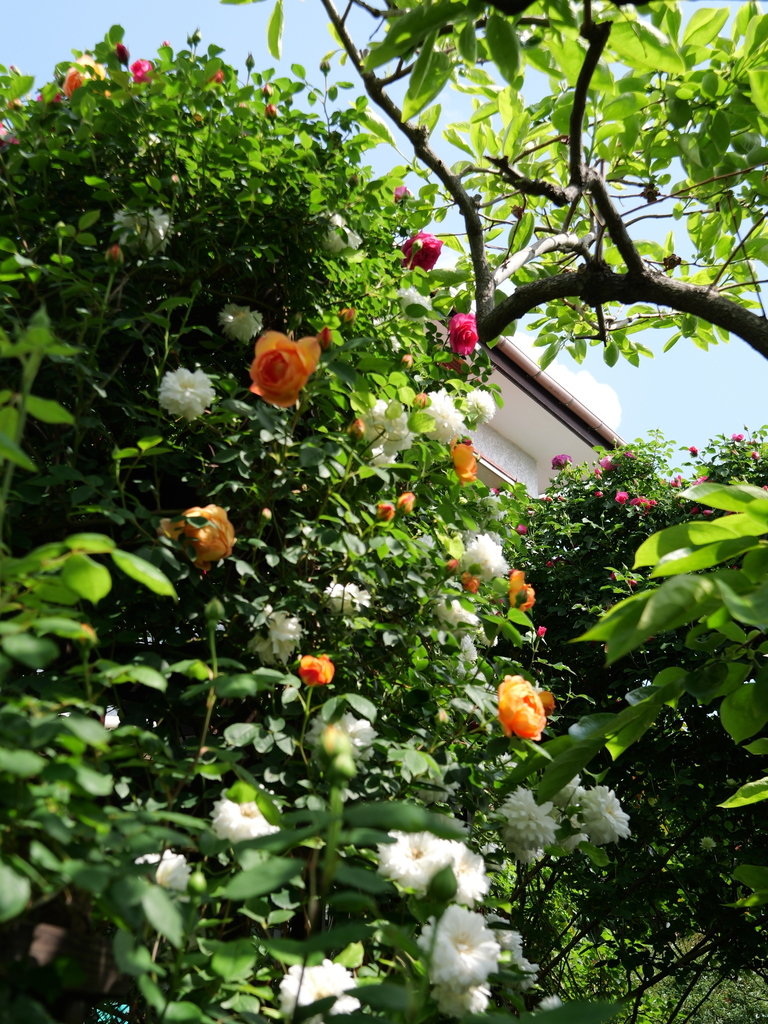 2025-05-01 09_23№(0635).JPG