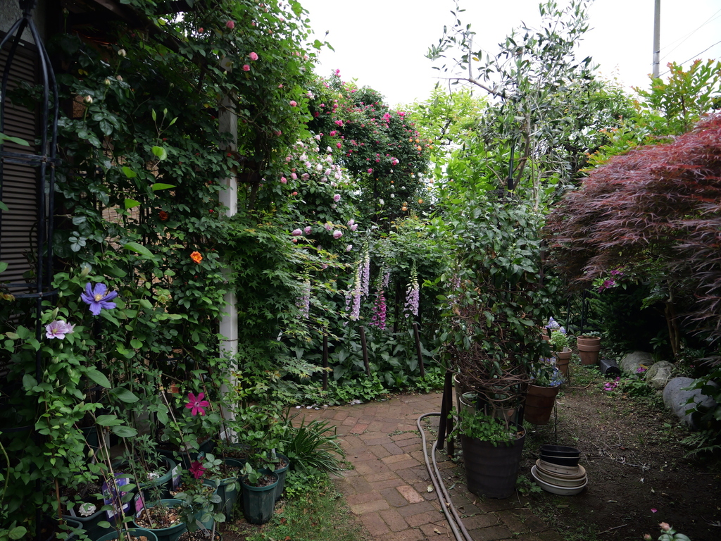 2025-05-02 07_29№(0137).JPG