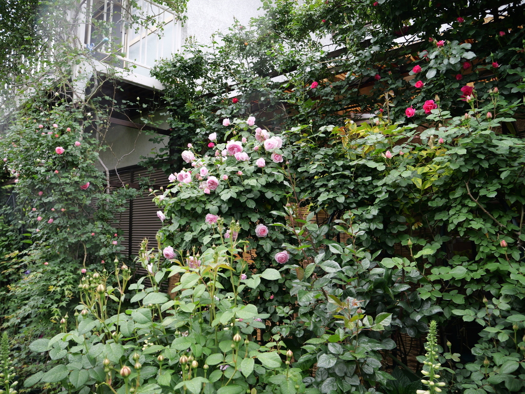 2025-05-02 07_38№(0167).JPG