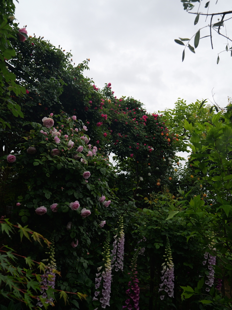 2025-05-02 08_18№(0348).JPG