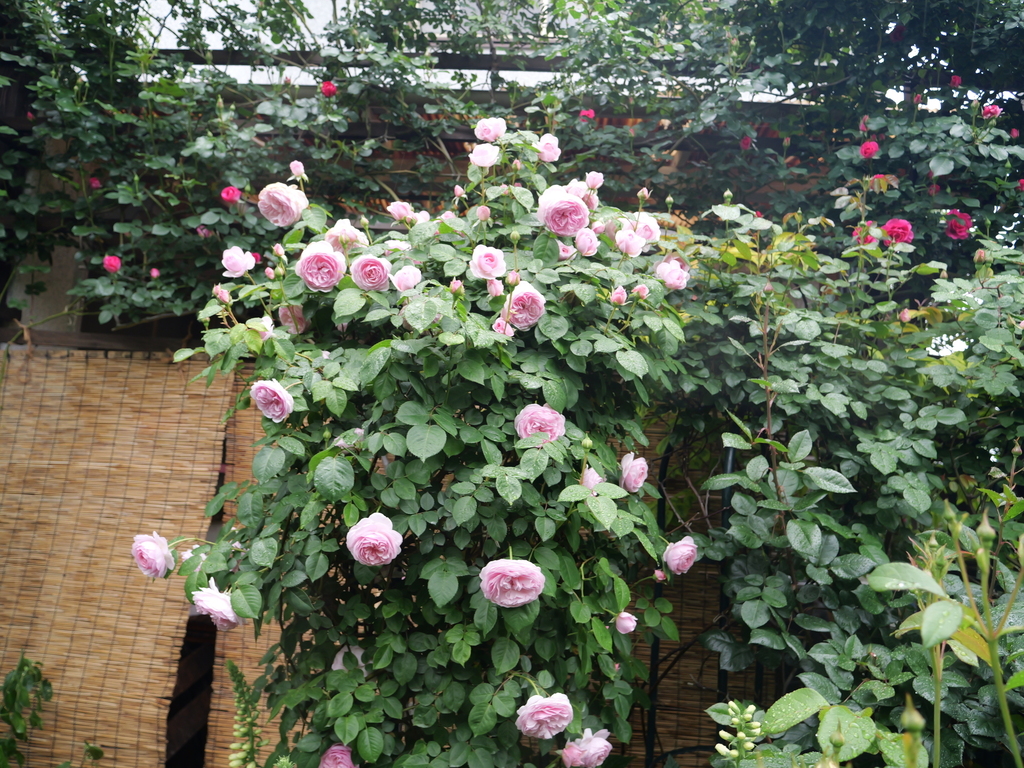 2025-05-02 08_18№(0357).JPG