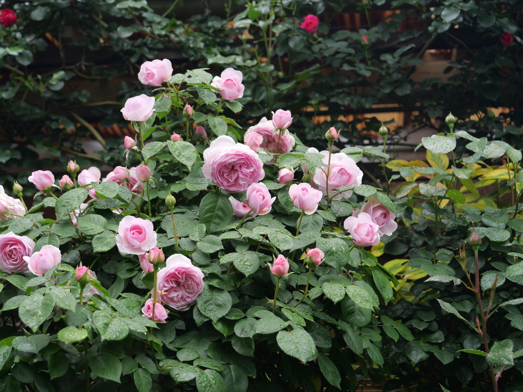 2025-05-02 08_18№(0361).JPG
