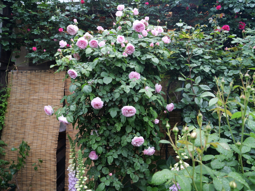 2025-05-02 08_18№(0364).JPG