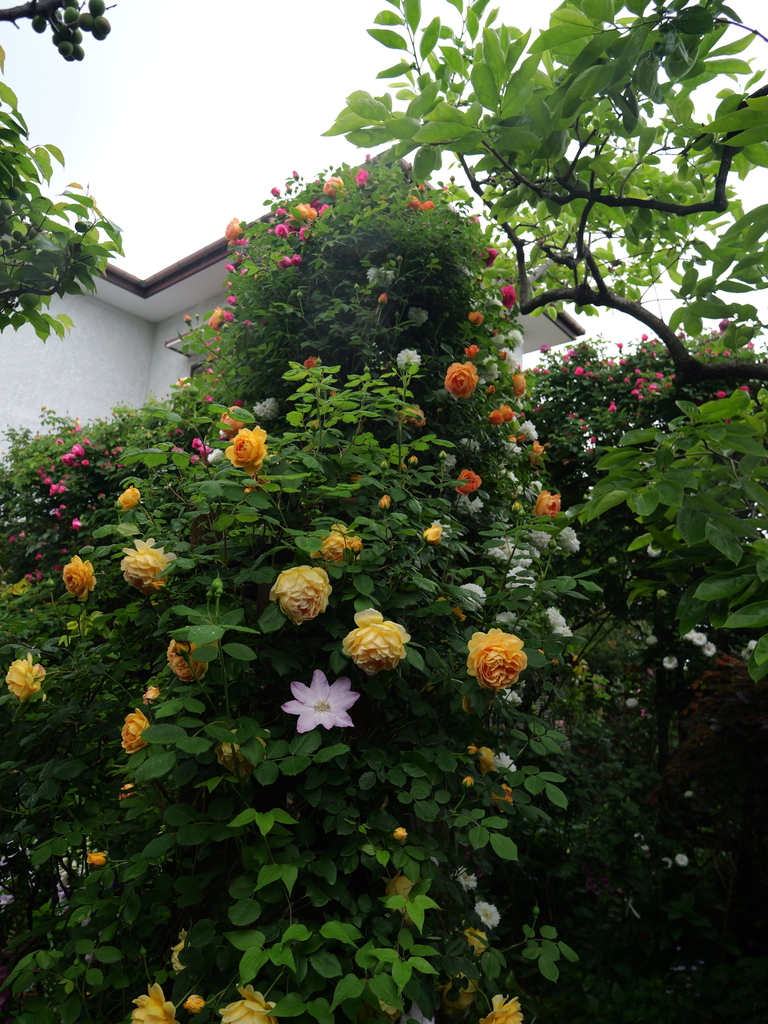2025-05-02 08_19№(0391).JPG