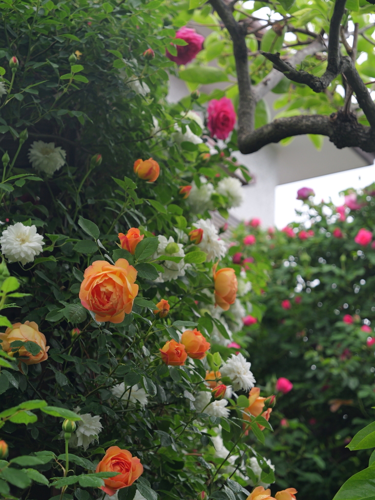 2025-05-02 08_19№(0395).JPG
