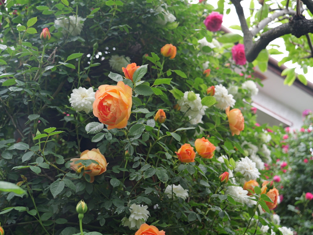 2025-05-02 08_19№(0402).JPG
