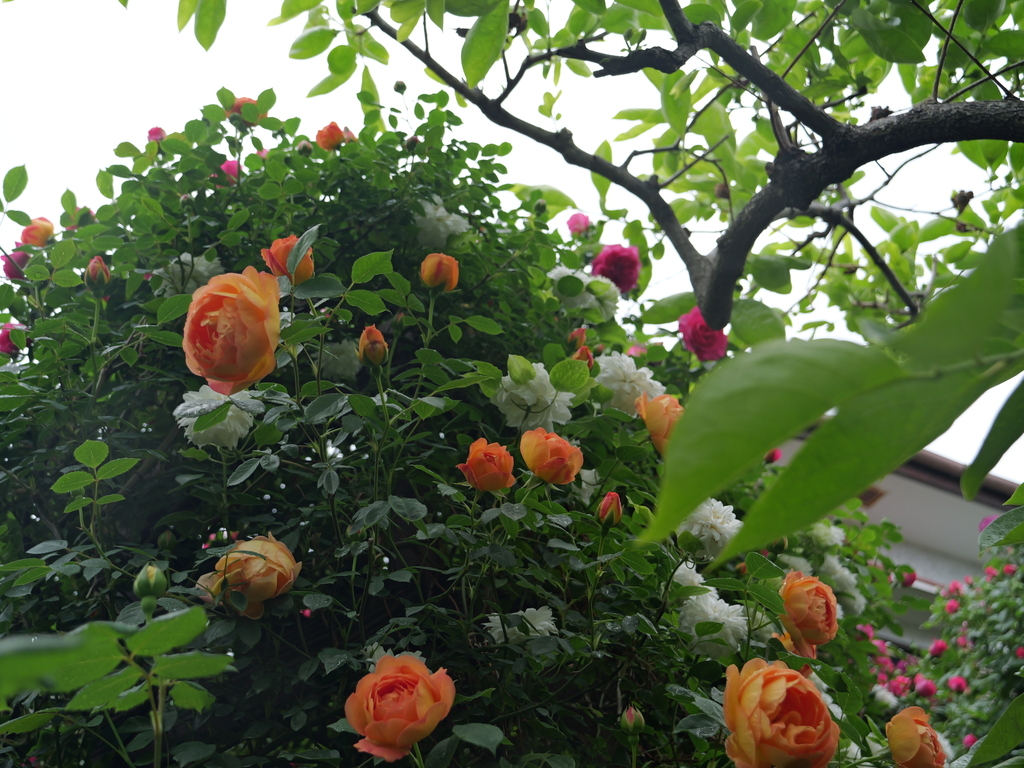 2025-05-02 08_19№(0405).JPG