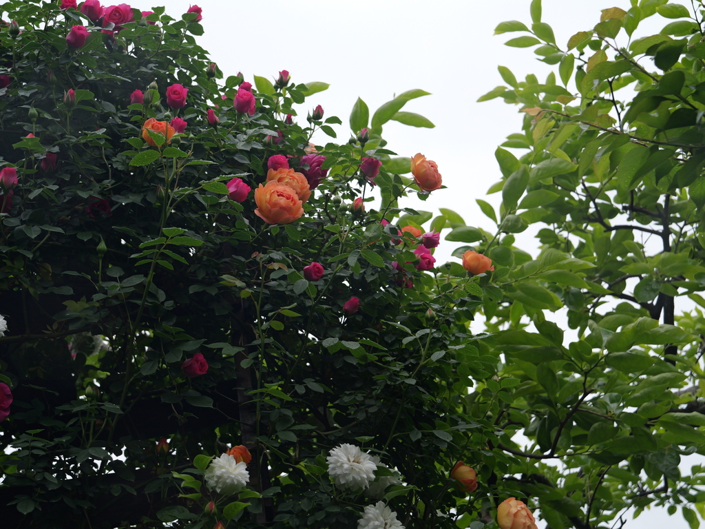 2025-05-02 08_20№(0432).JPG