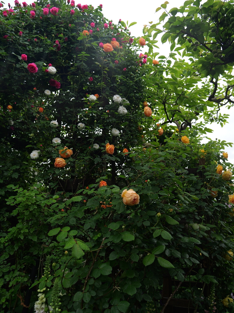 2025-05-02 08_20№(0434).JPG