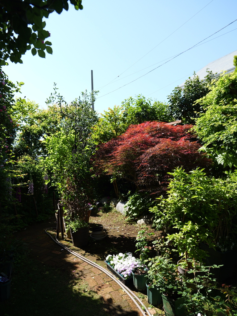 2025-05-03 08_33№(0246).JPG