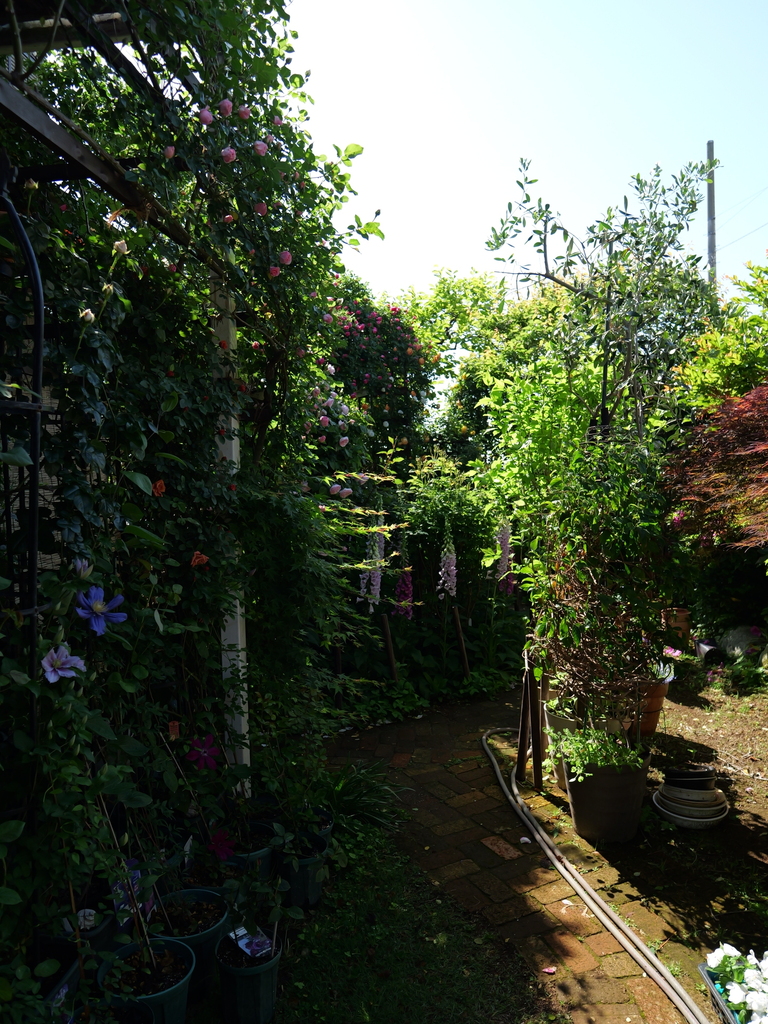 2025-05-03 08_33№(0247).JPG