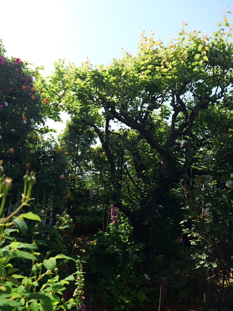 2025-05-03 08_33№(0249).JPG
