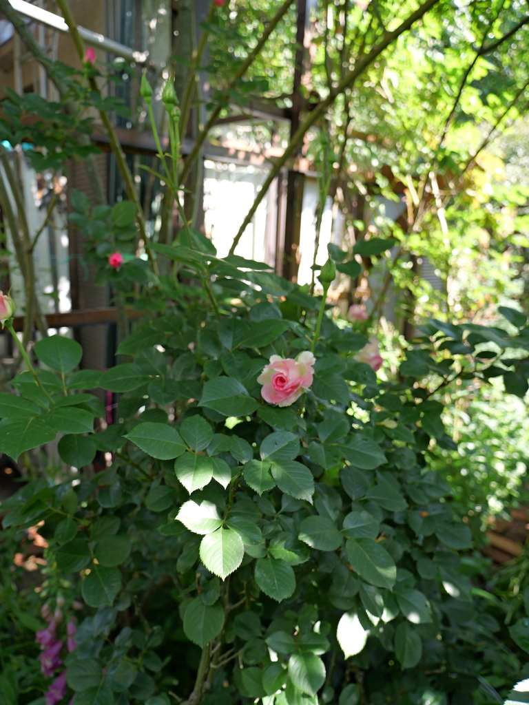 2025-05-03 08_35№(0289).JPG