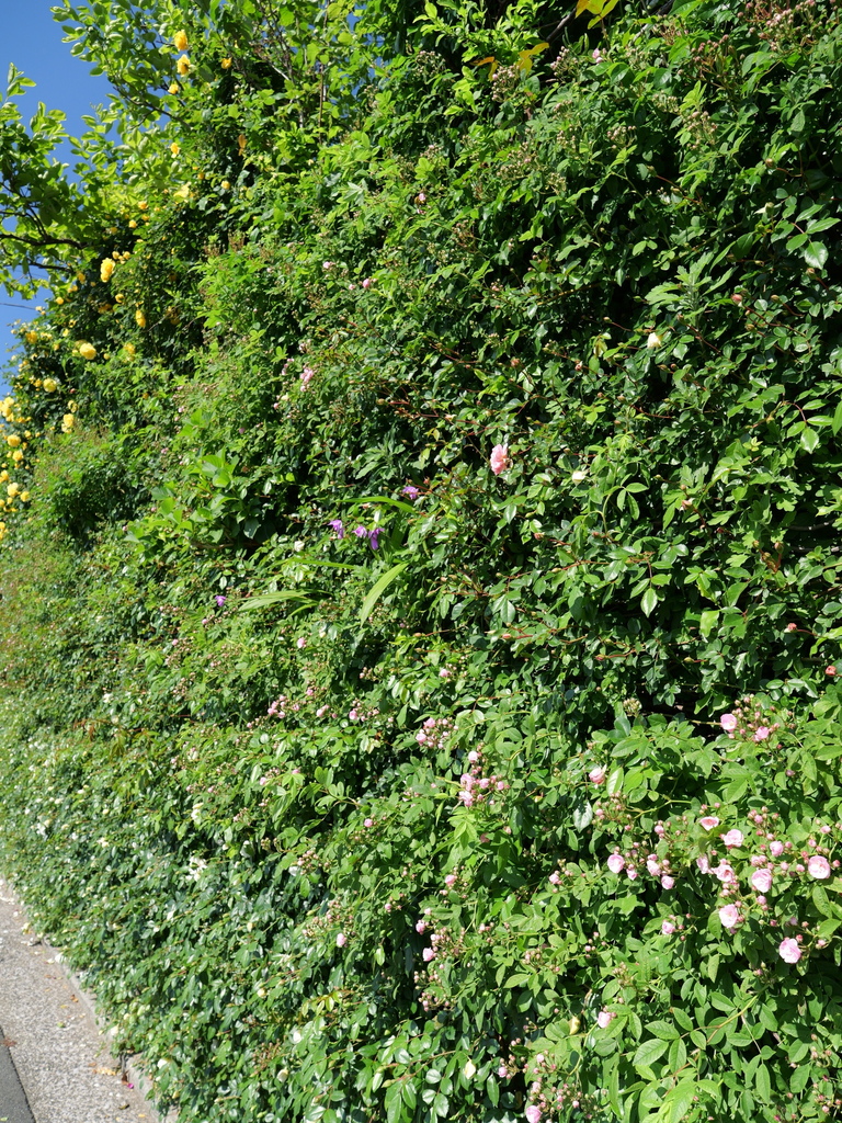 2025-05-03 08_37№(0331).JPG