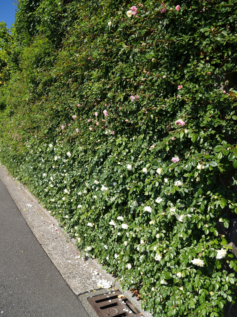 2025-05-03 08_37№(0333).JPG