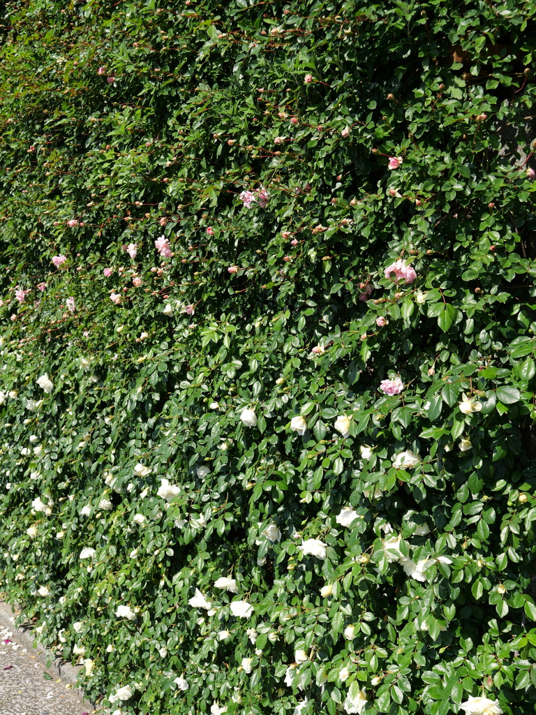 2025-05-03 08_37№(0334).JPG