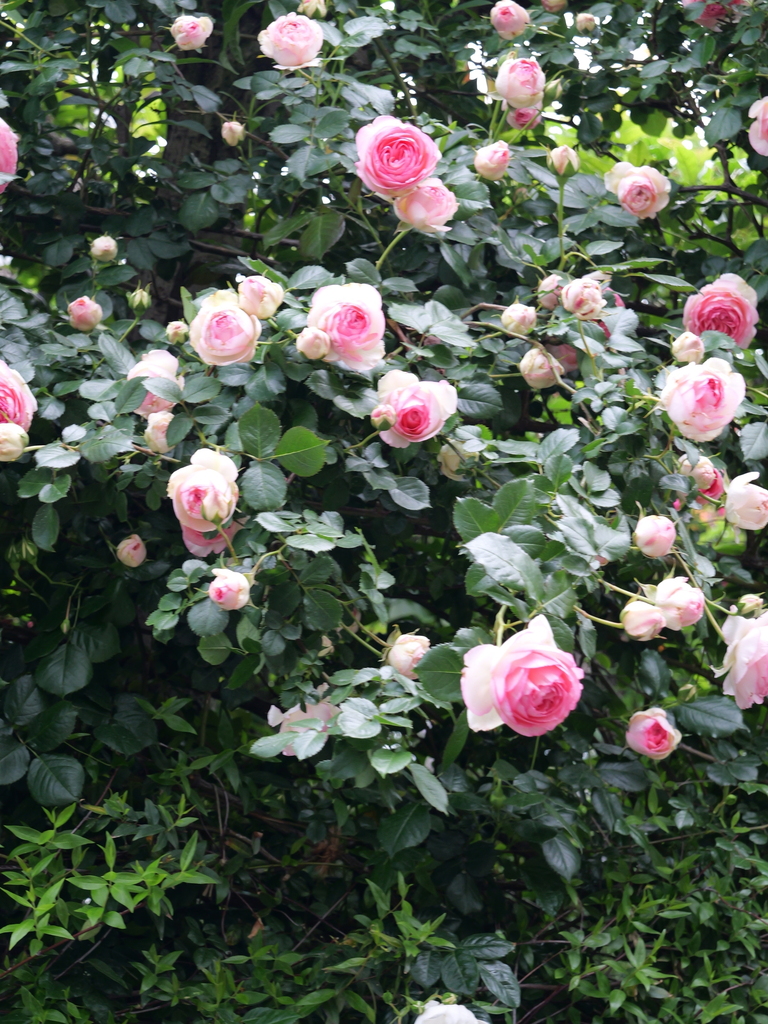 2025-05-04 09_00№(0134).JPG