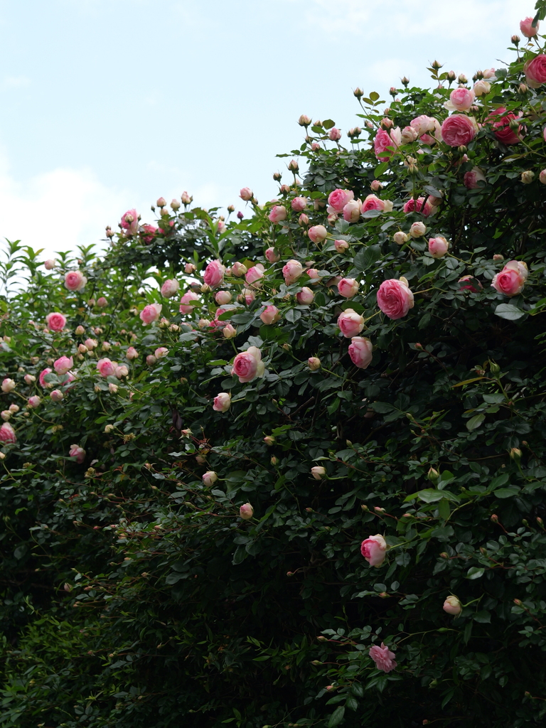 2025-05-04 09_00№(0144).JPG
