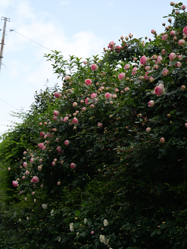 2025-05-04 09_00№(0145).JPG