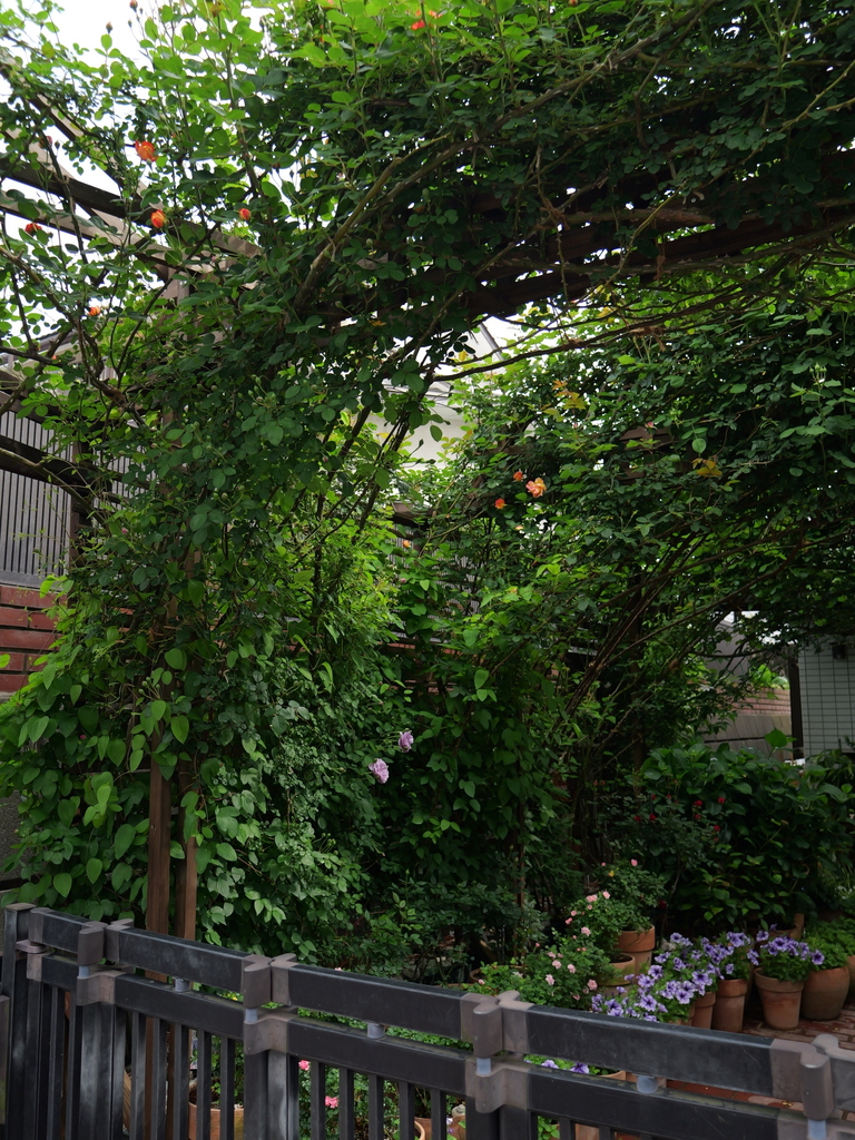 2025-05-04 09_03№(0212).JPG